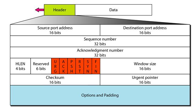 segment header